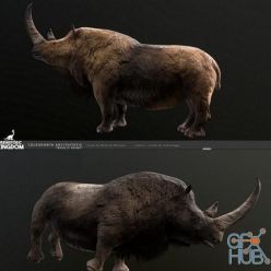 3D model Woolly Rhino PBR