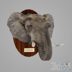 3D model African Elephant 1