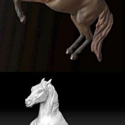 3D model War Horse PBR
