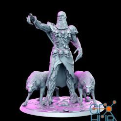 3D model Keoghradan- Druid with Wolves