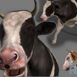 3D model Top Cow
