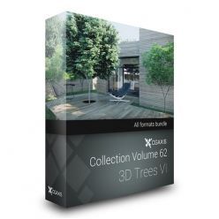 3D model CGAxis Models Volume 62 3D Trees VI