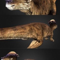 3D model Pachycephalosaurus PBR