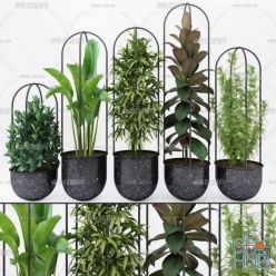3D model Plant Compilation 44