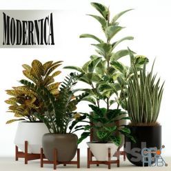 3D model Plants collection 75 Modernica pots