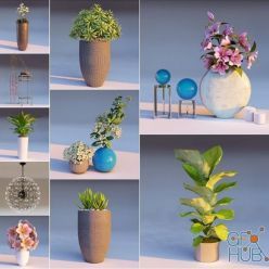 3D model Lumion Potted Plants Vases and Chandelier Library