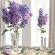 3D model Lilac in vase