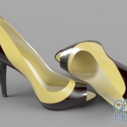 3D model Patent leather shoes