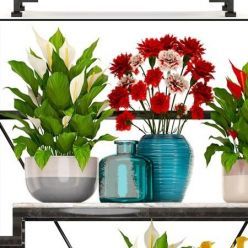 3D model Decorative Set (Shelf with decor)