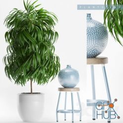 3D model Ficus and blue vase