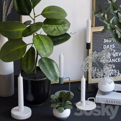 3D model Decorative set with ficus and eucalyptus