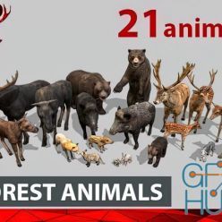 3D model CGtrader – FOREST ANIMALS short version Low-poly 3D models