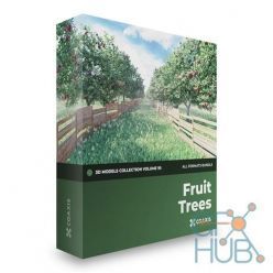 3D model CGAxis – Fruit Trees 3D Models Collection – Volume 95