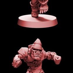 3D model Pirate of the orc bay – 3D Print