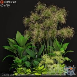 3D model Plants collection 241