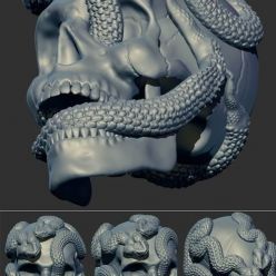 3D model Skull Snake – 3D Print