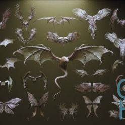 3D model ArtStation – WINGS – 33 Character & Creature wings