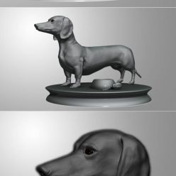 3D model Dachshund – 3D Print