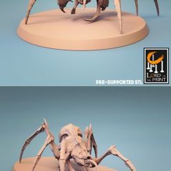 3D model Spider – 3D Print
