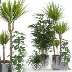 3D model Plants collection 90