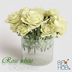 3D model Rose white