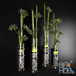 3D model Glass vase with show plants 1