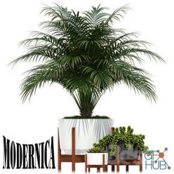 3D model Plants collection 68 Modernica pots