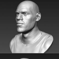 3D model LeBron James Bust – 3D Print