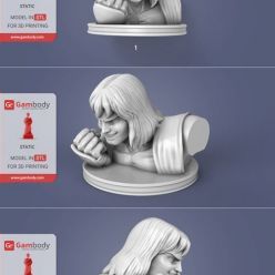 3D model Ken Masters Bust – 3D Print