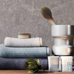 3D model Towels and brushes