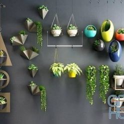 3D model Plants Collection 78