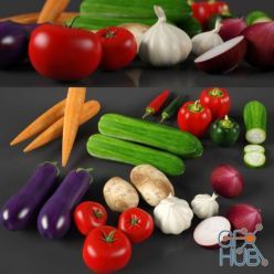 3D model Fresh vegetables set