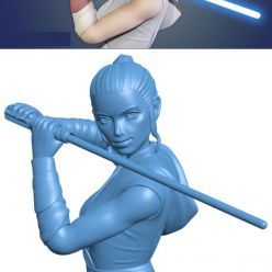 3D model Star Wars - Rey Skywalker Bust