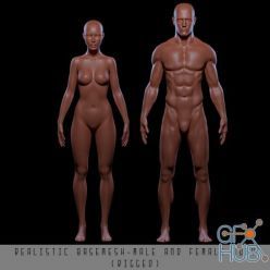 3D model CGTrader – Realistic Basemesh Male and Female Body – Rigged Low-poly 3D model