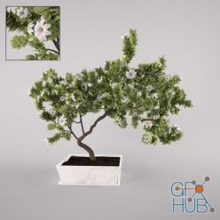 3D model Flowering decorative tree