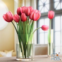 3D model Three colors of tulips
