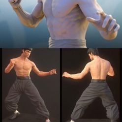 3D model Bruce Lee Dragon Fighter