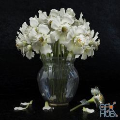 3D model Bouquet of white daffodils
