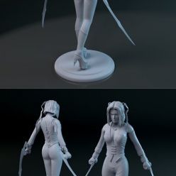 3D model BloodRayne – 3D Print