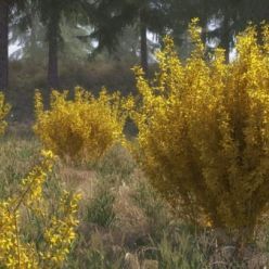 3D model VIZPARK – Forsythia (10 shrub models for Spring and summer)