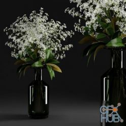 3D model Gypsophila and magnolia leaves in bottle (MAX 2011, OBJ)