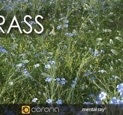 3D model VIZPARK – Real Grass for 3ds Max, Cinema 4D, Modo OBJ, FBX and LightWave (Updated 11/28/2016)