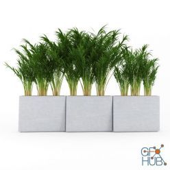 3D model Twista Contemporary Modern Outdoor Planter Pot Areca Palm