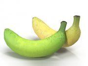 3D model Realistic bananas