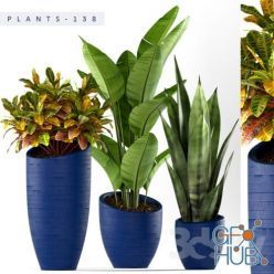 3D model Plants in blue pots