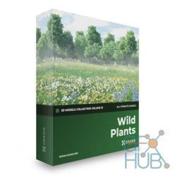 3D model CGAxis – Wild Plants 3D Models Collection Volume 91