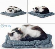 3D model Sleeping fluffy cat