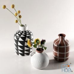 3D model Morocco Vases with Flowers