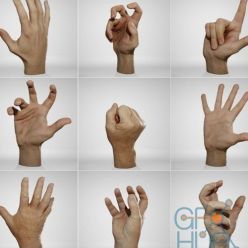 3D model Anatomy360 – Male Hands Pack