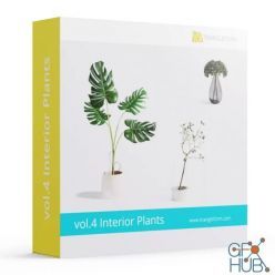 3D model Triangle Form – vol. 4 Interior Plants